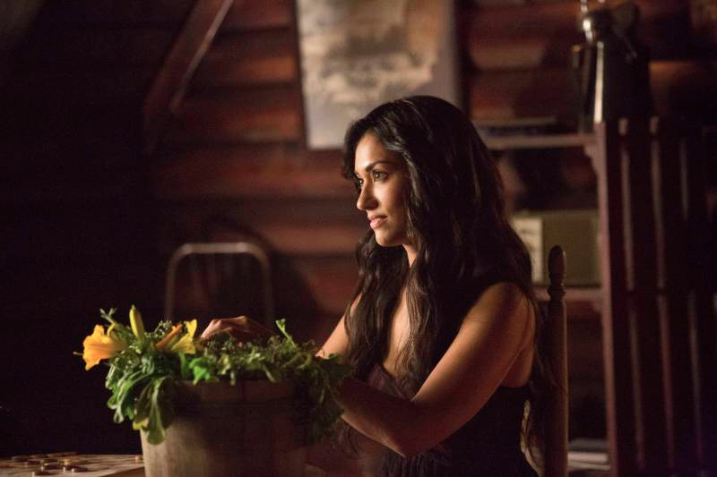 The Vampire Diaries