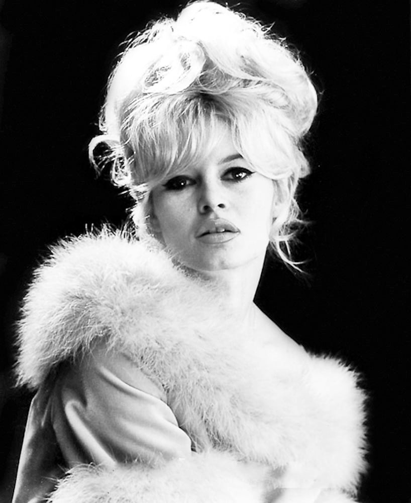 Picture of Brigitte Bardot