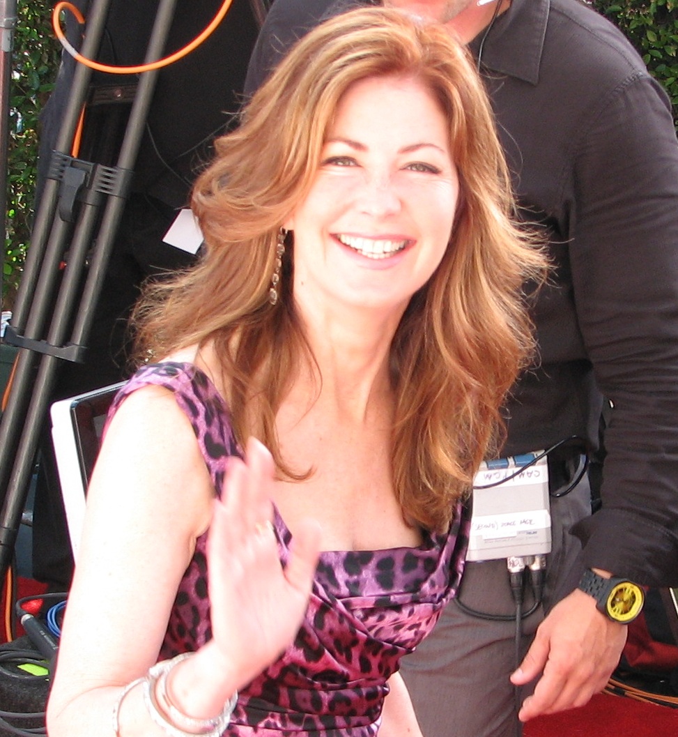 Picture of Dana Delany