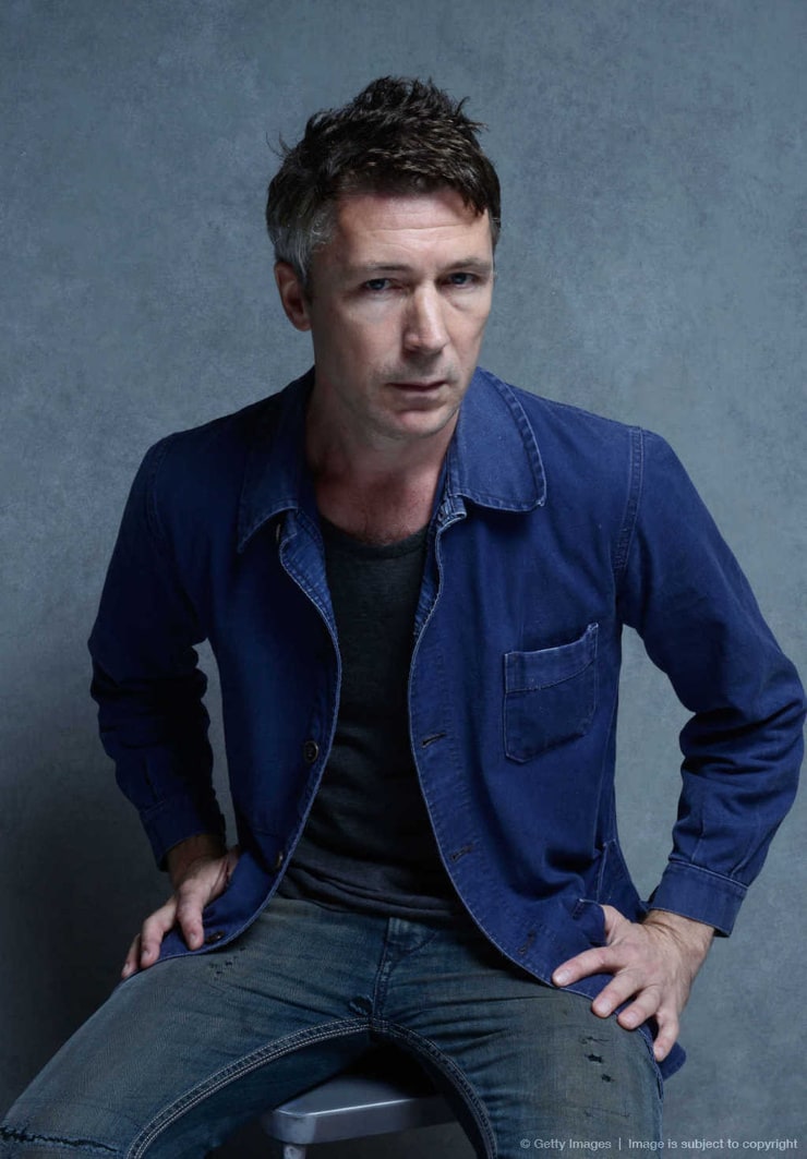 Picture of Aidan Gillen