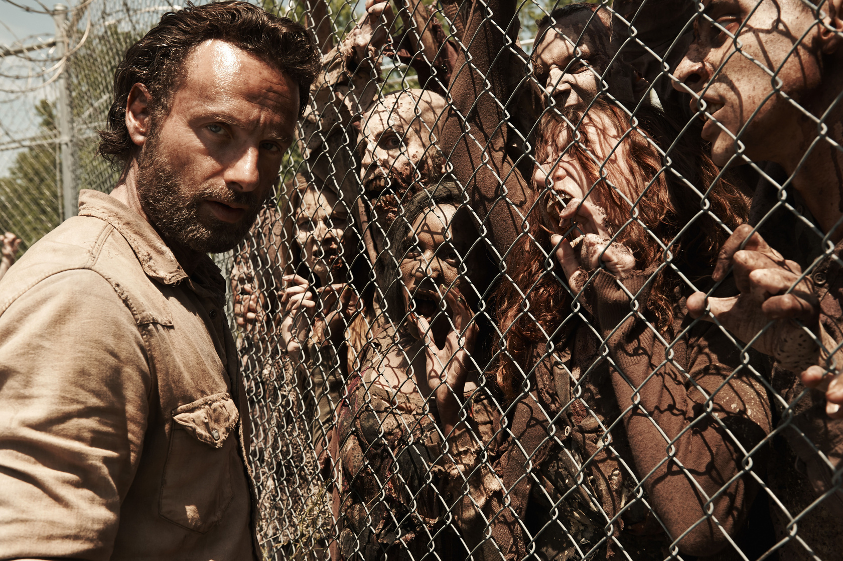 The Walking Dead The Walking Dead
