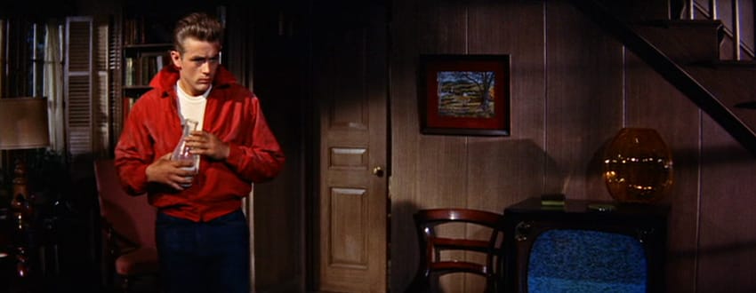 Rebel Without a Cause