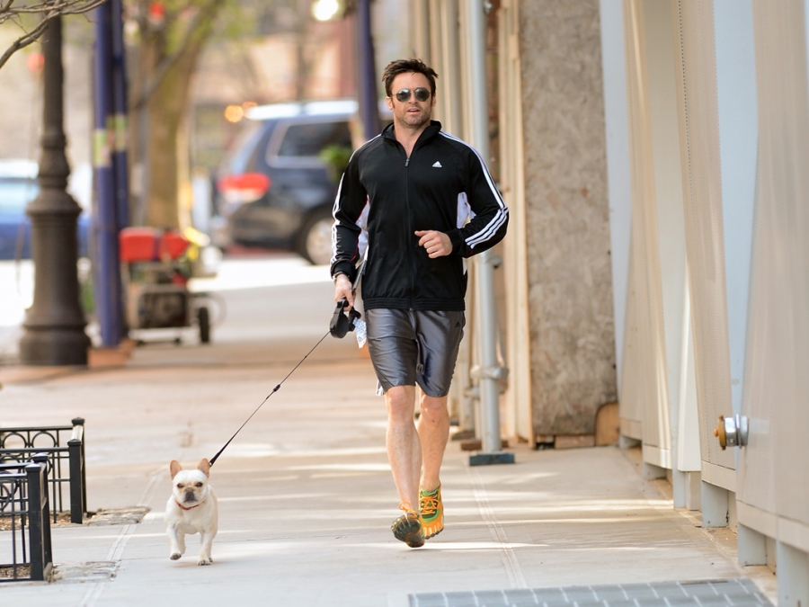 Hugh Jackman