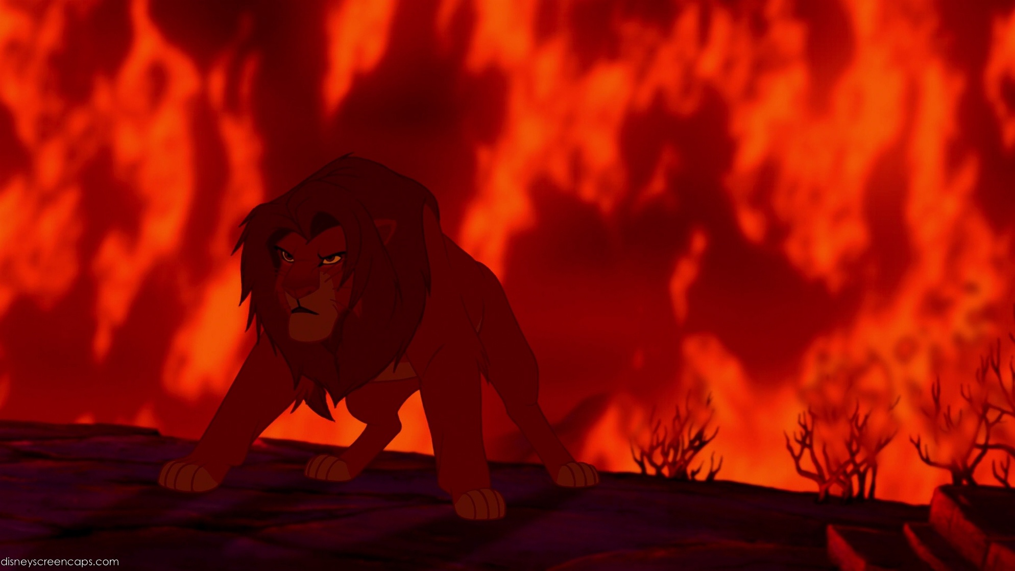 Simba