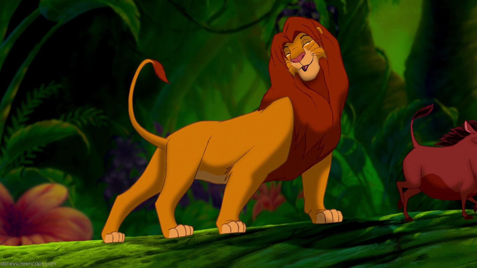 Simba