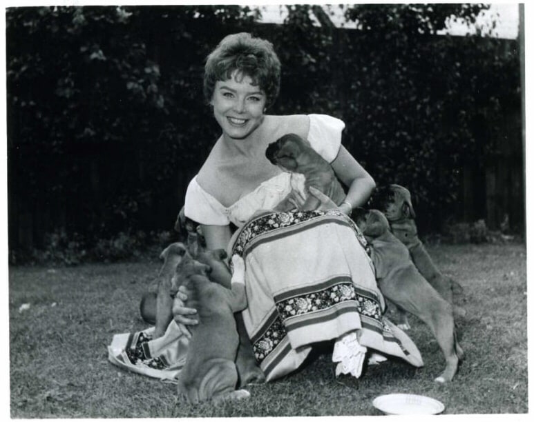 Janet Munro Janet Munro