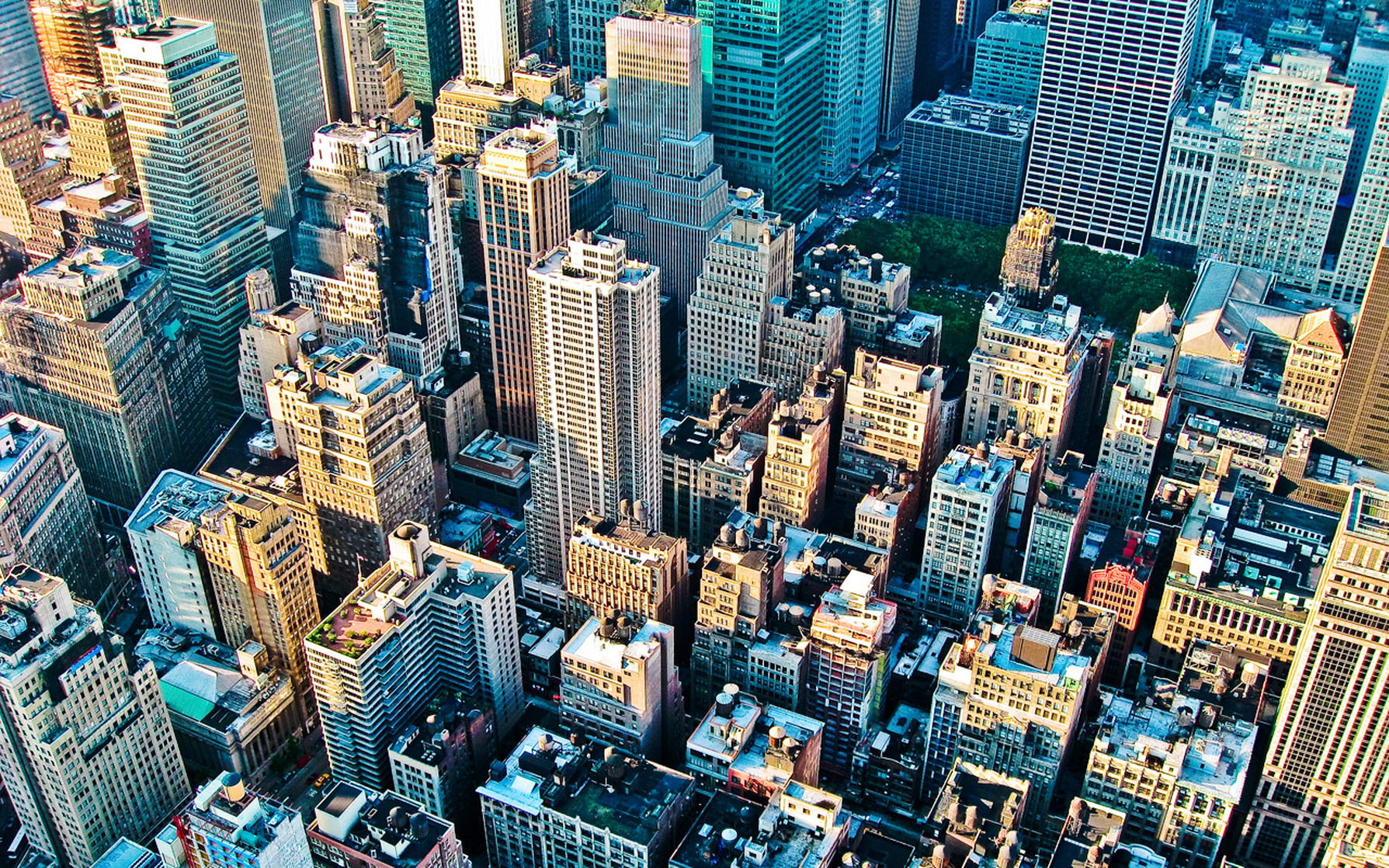 New York City New York City
