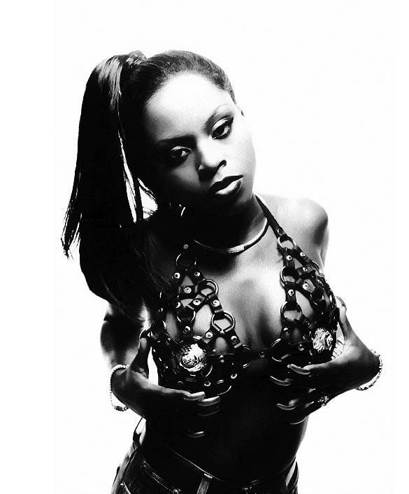 Foxy Brown Naked Pics