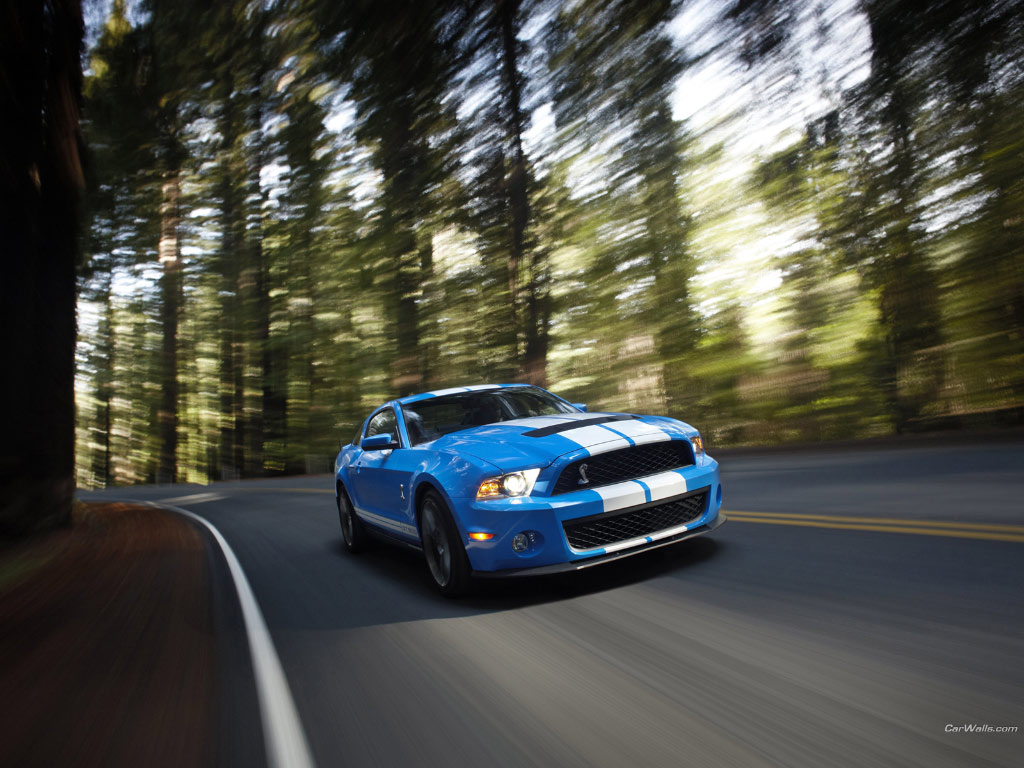 Shelby Mustang