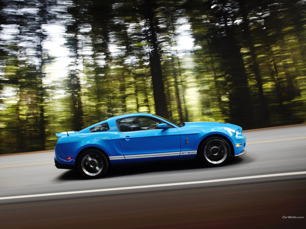 Shelby Mustang
