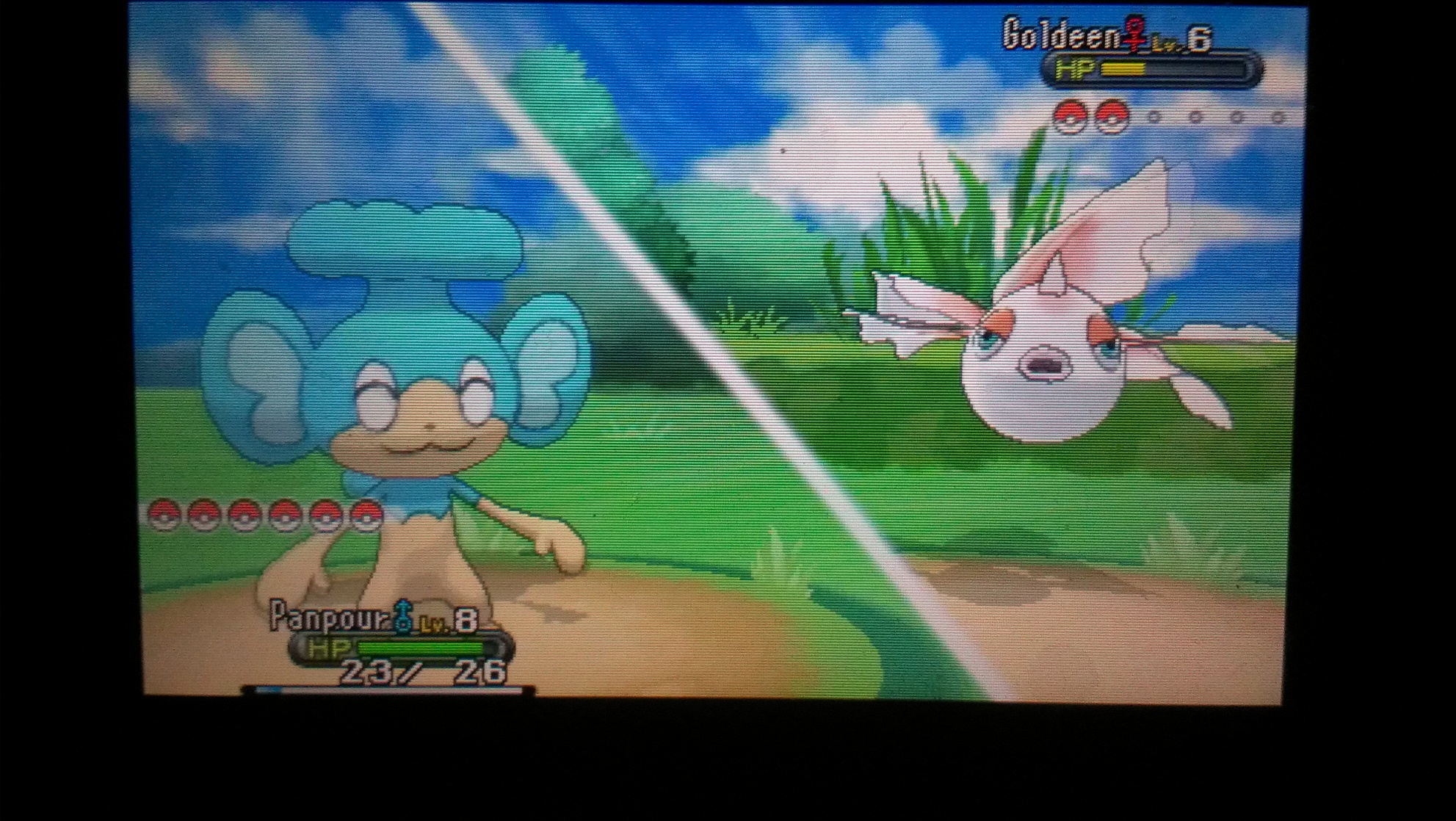 Pokémon Y