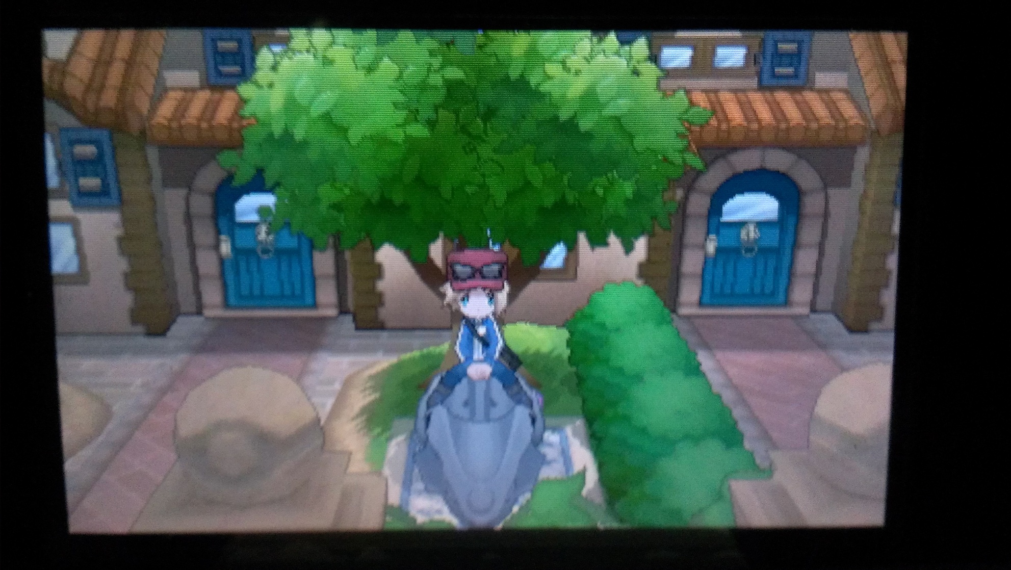 Pokémon Y
