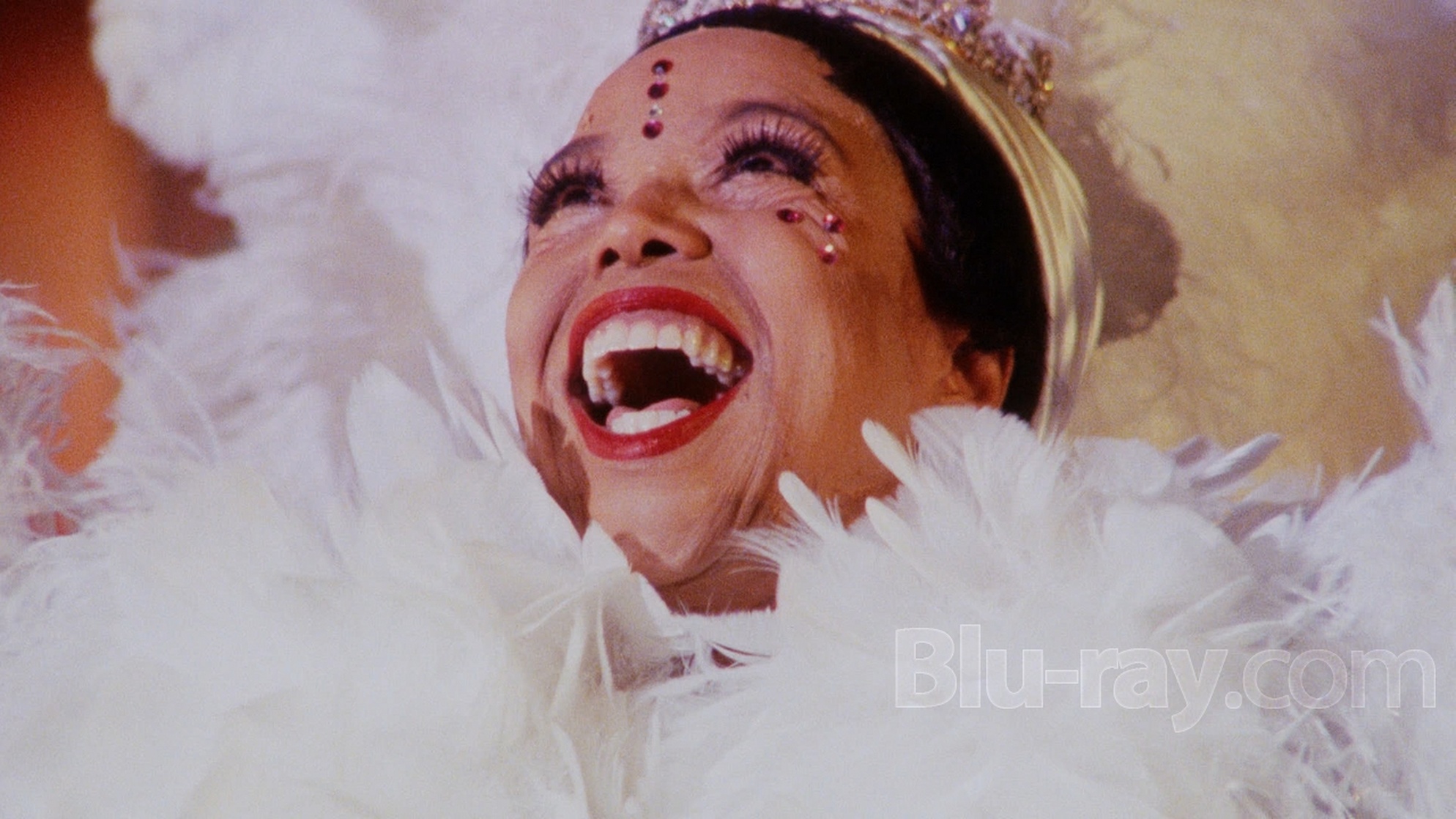 The Josephine Baker Story