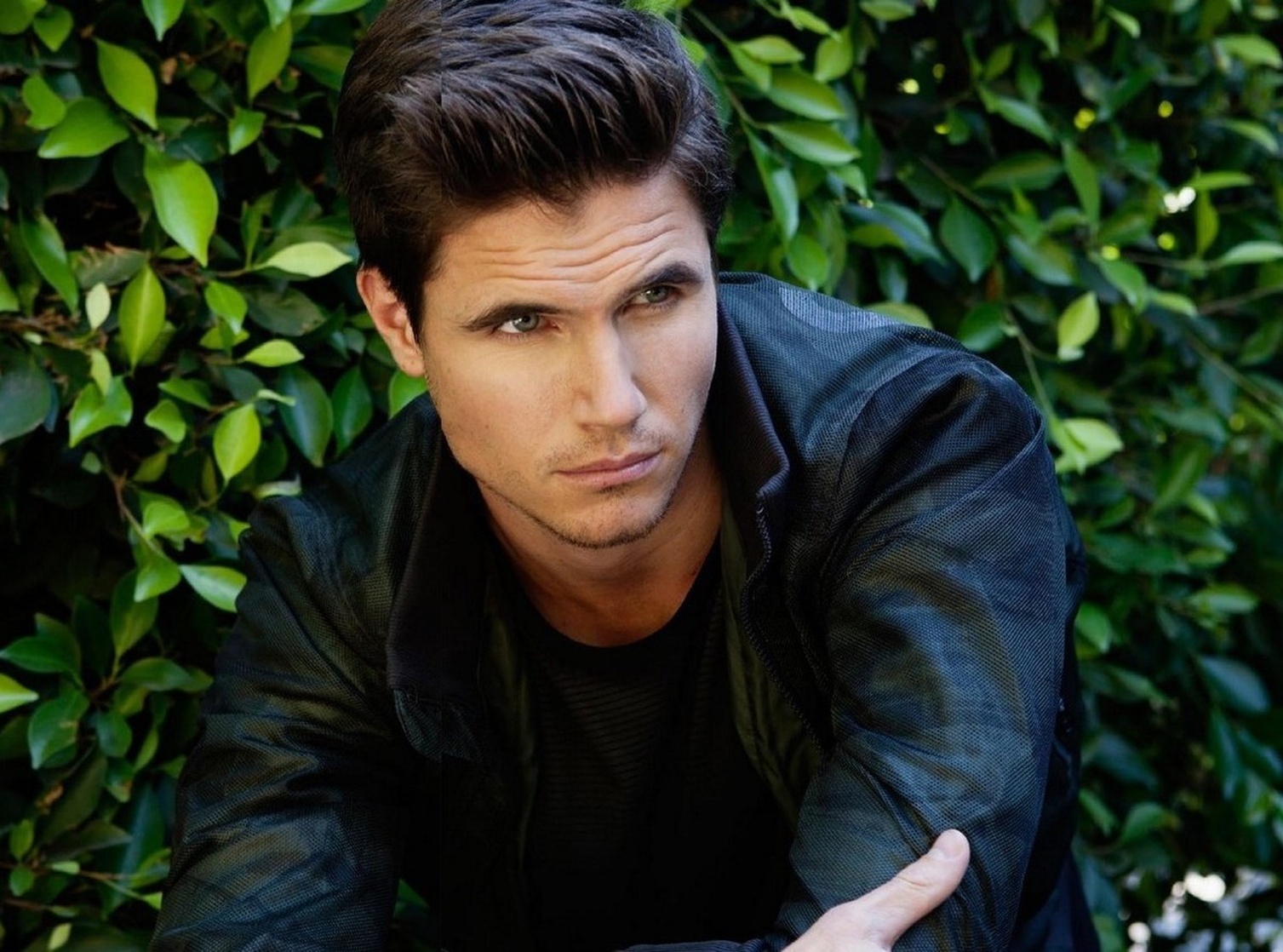 Robbie Amell
