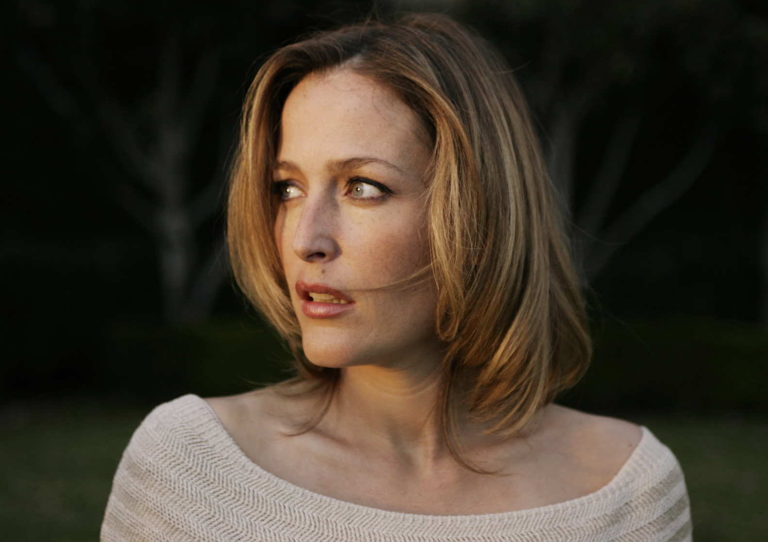 Gillian Anderson Gillian Anderson