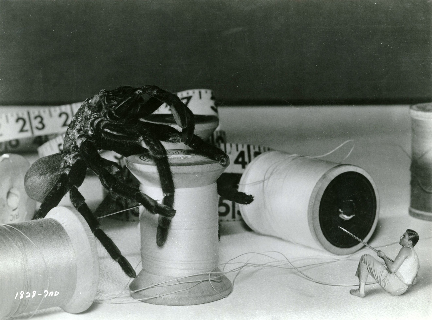 The Incredible Shrinking Man The Incredible Shrinking Man