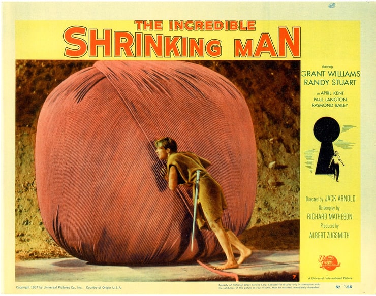 The Incredible Shrinking Man Image
