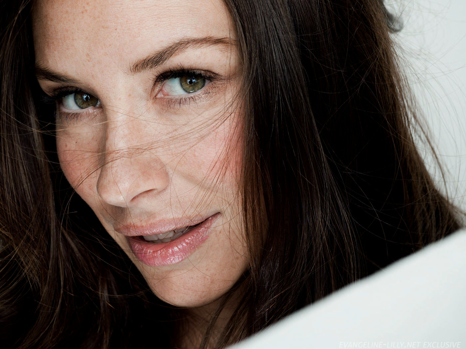 Picture of Evangeline Lilly
