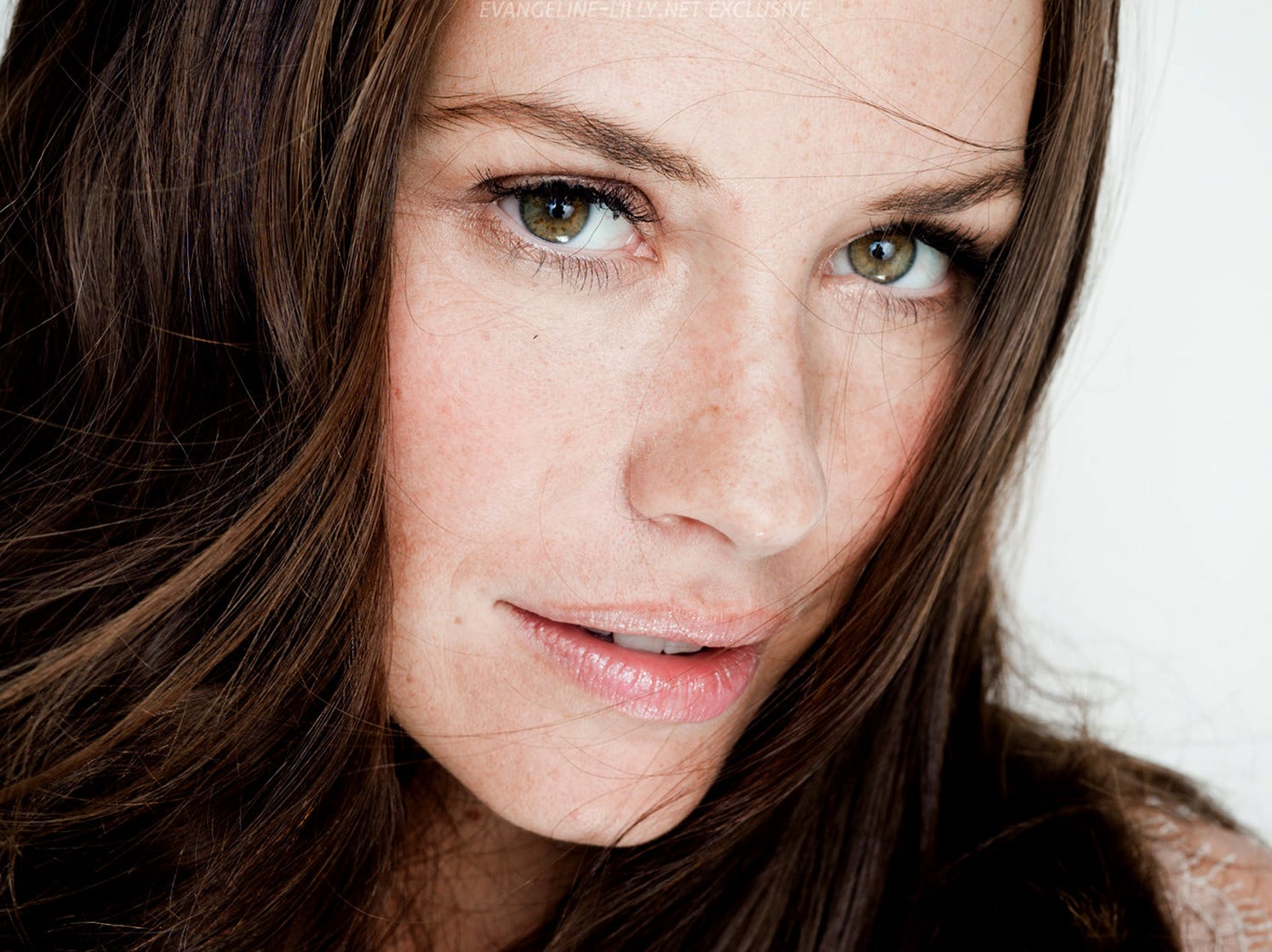 Picture of Evangeline Lilly