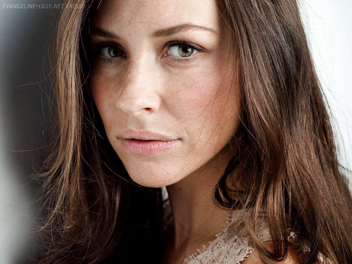 Picture of Evangeline Lilly