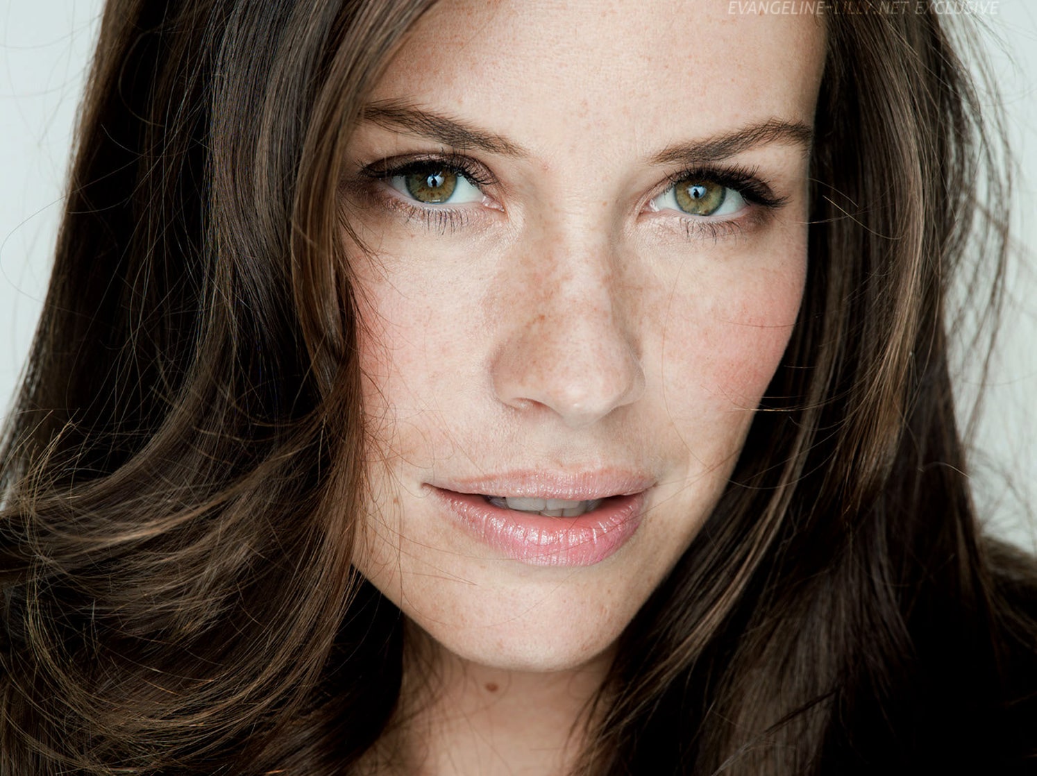 Picture of Evangeline Lilly