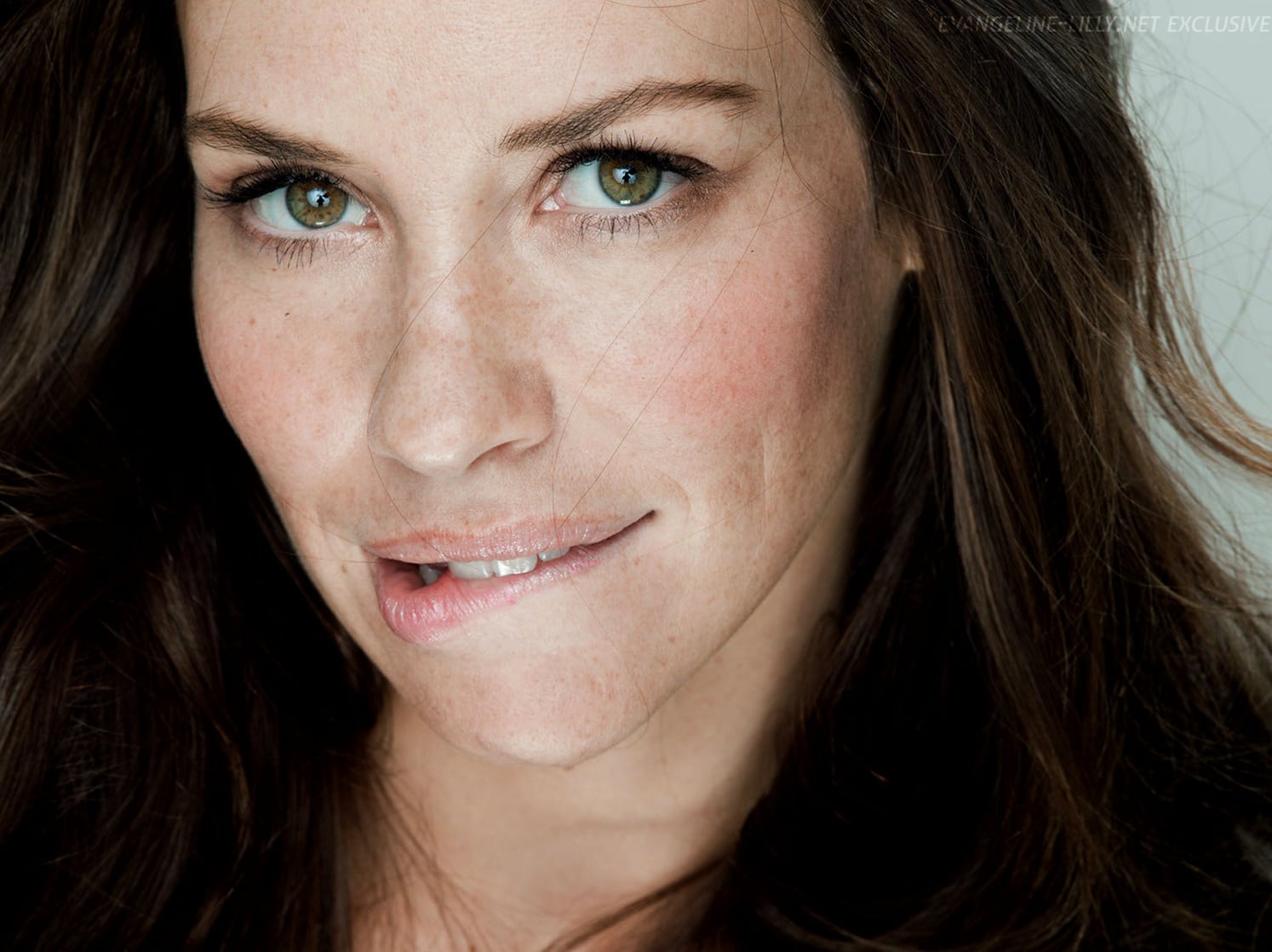 Picture of Evangeline Lilly