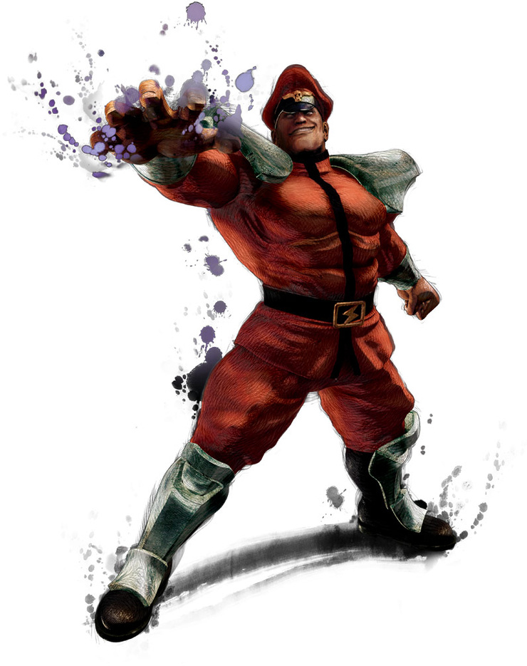 picture-of-m-bison