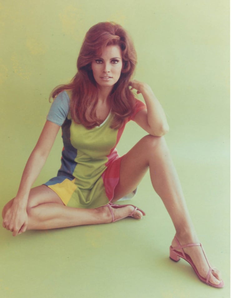 Picture of Raquel Welch