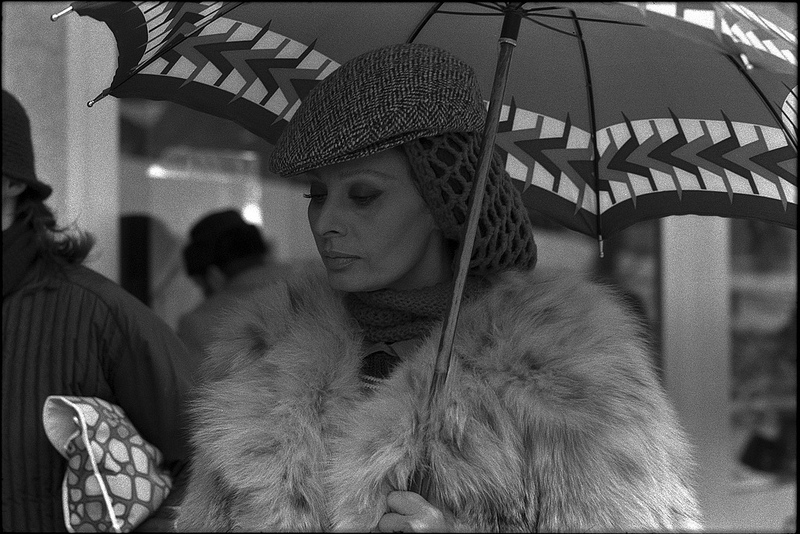 Sophia Loren