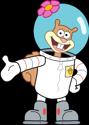 sandy cheeks body pillow