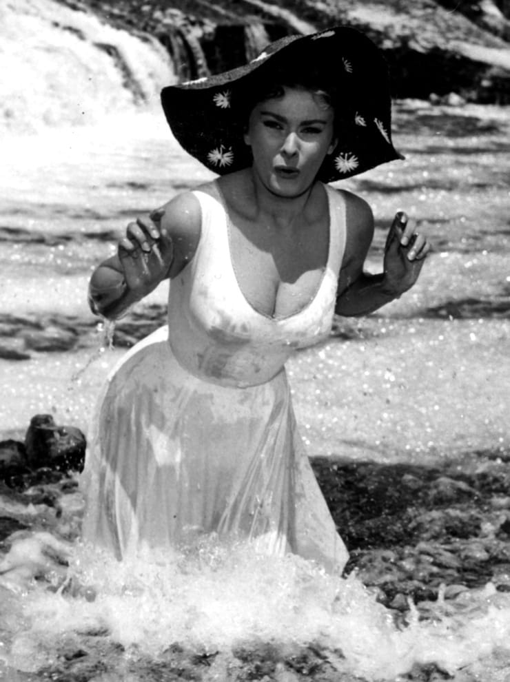 Picture of Sophia Loren.
