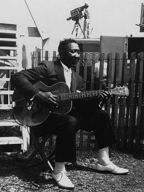 Picture Of Muddy Waters