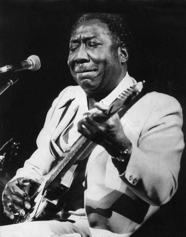 Muddy Waters picture