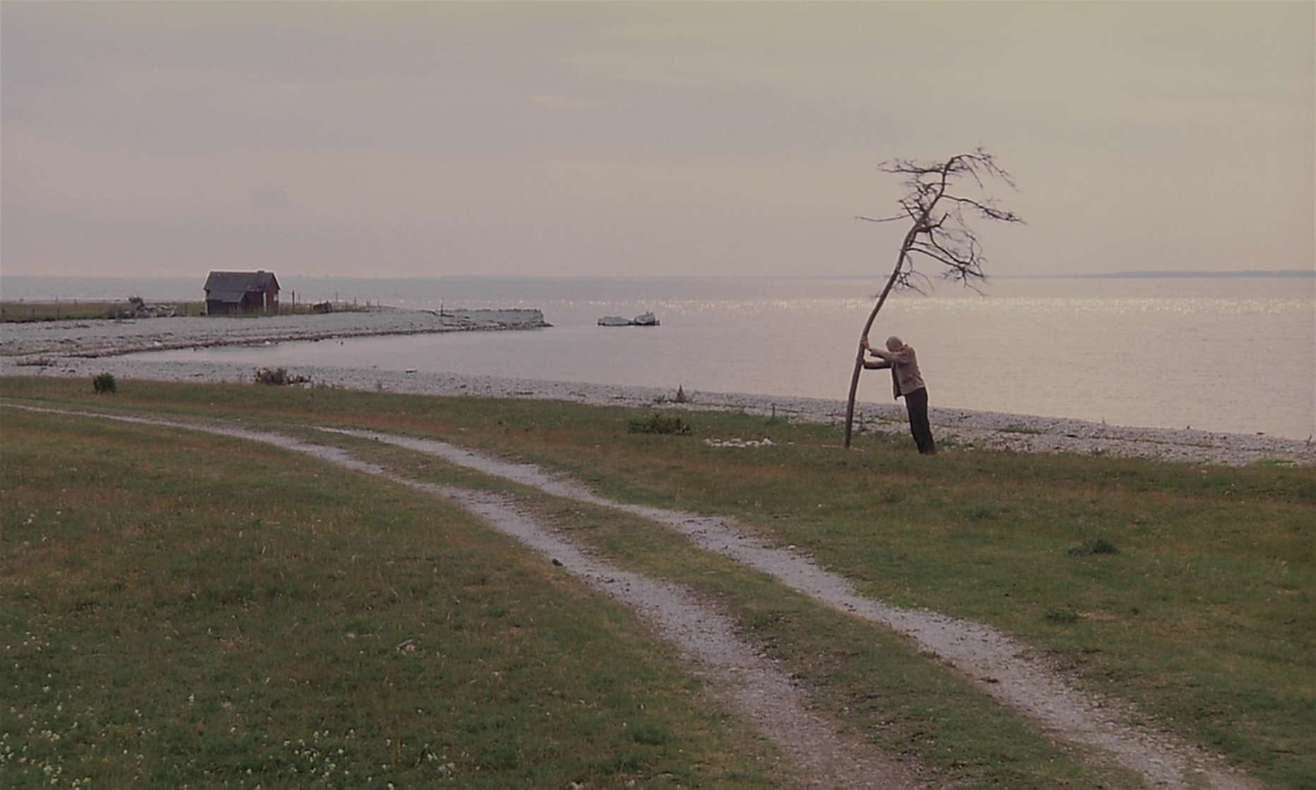 The Sacrifice (1986) The Sacrifice (1986)
