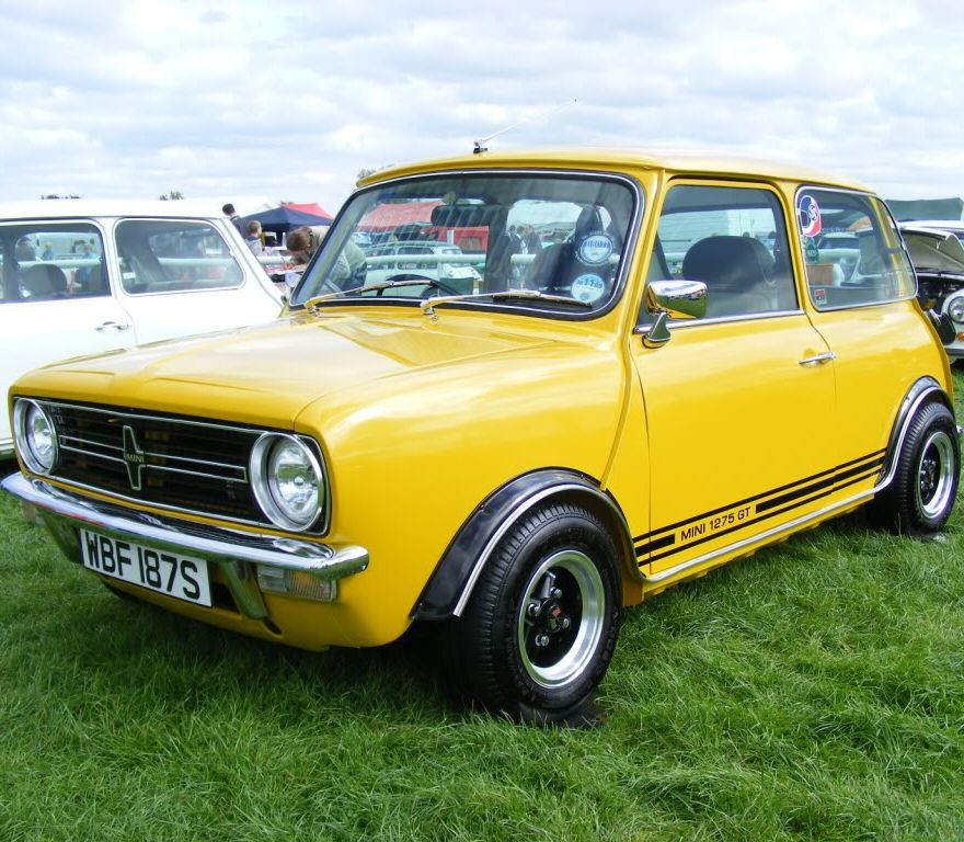 Mini Mini