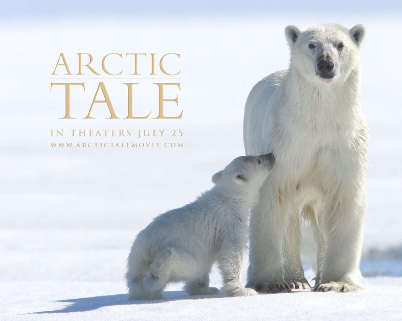 Arctic Tale