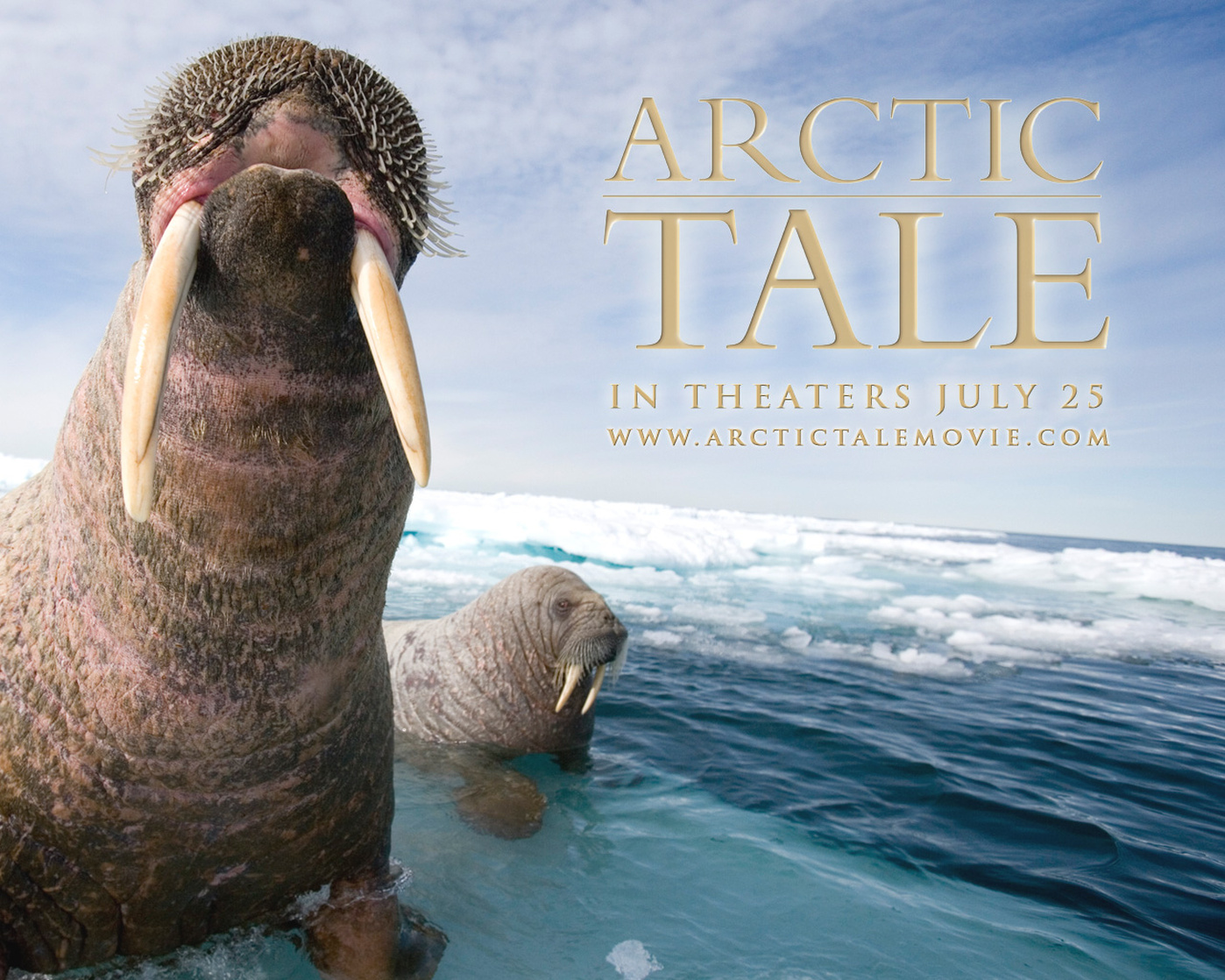 Arctic Tale