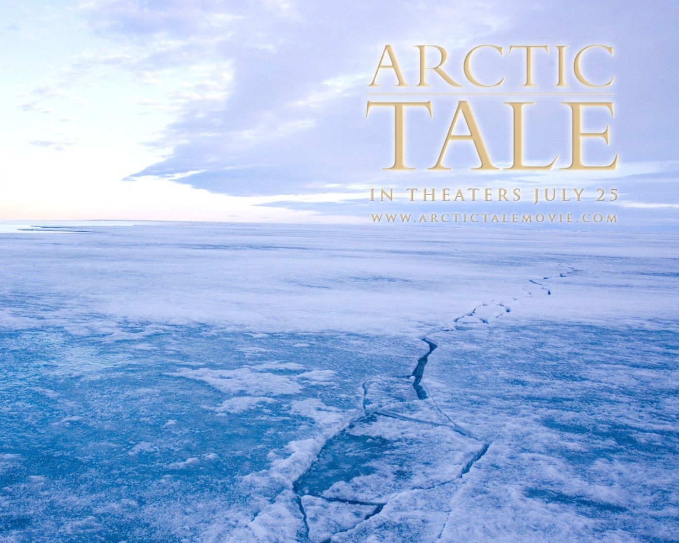 Arctic Tale