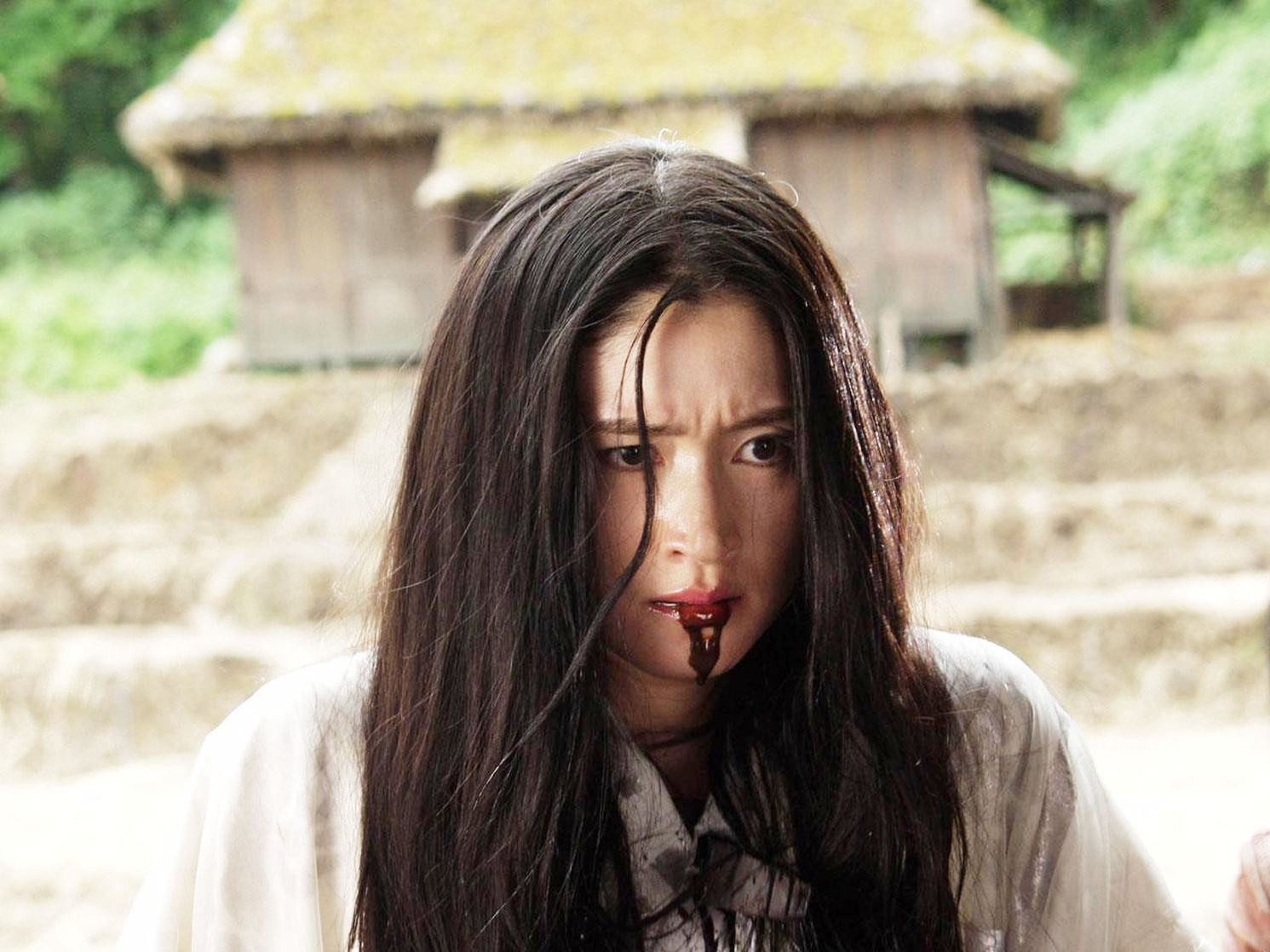 Blood: The Last Vampire 