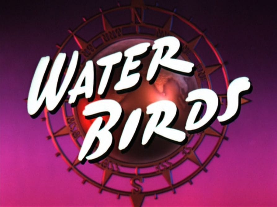 Water Birds