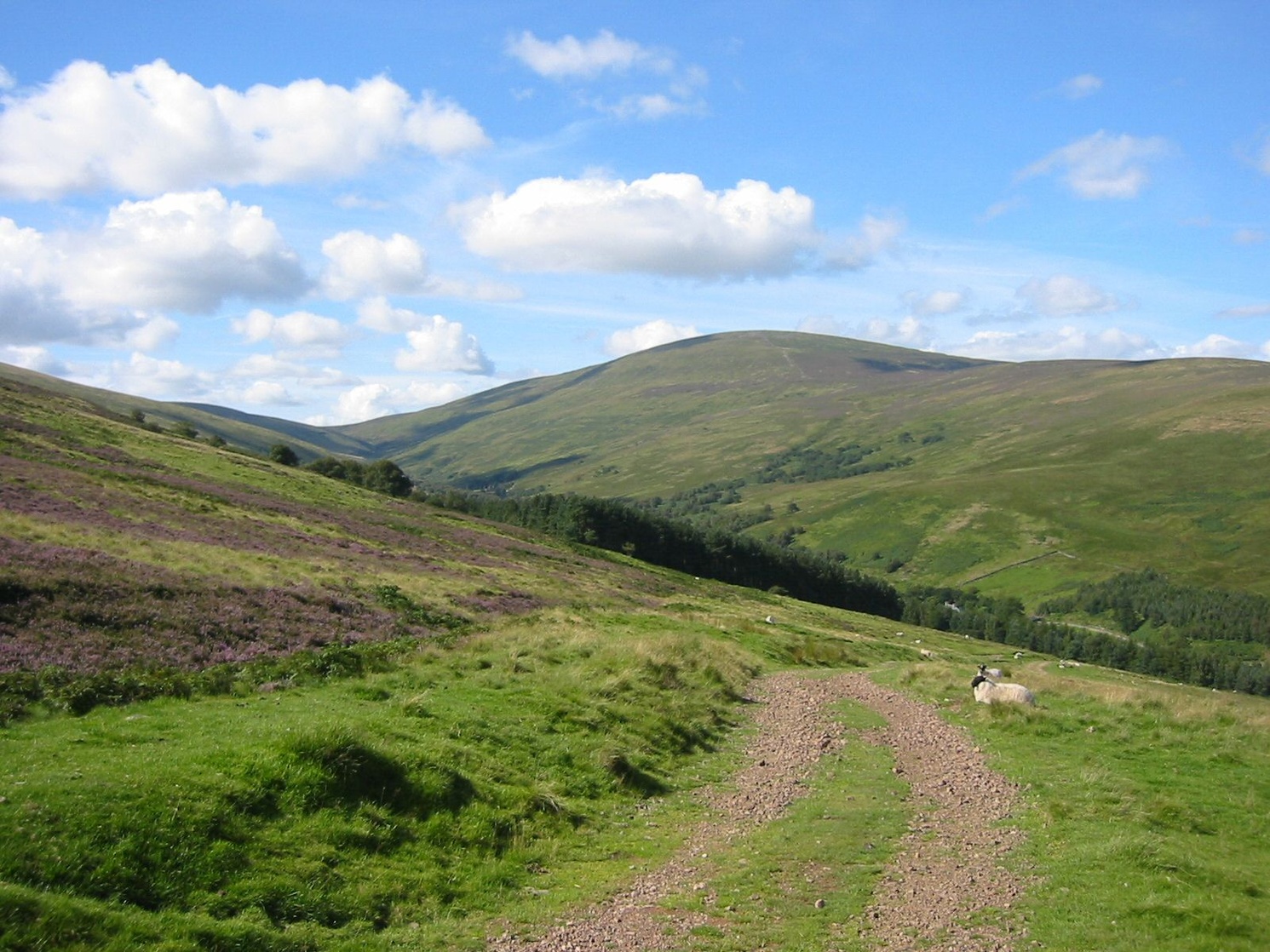 Northumberland National Park