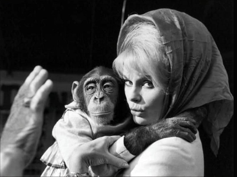 Elke Sommer image