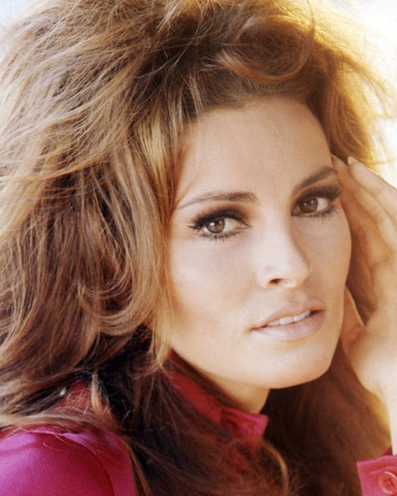 Picture of Raquel Welch