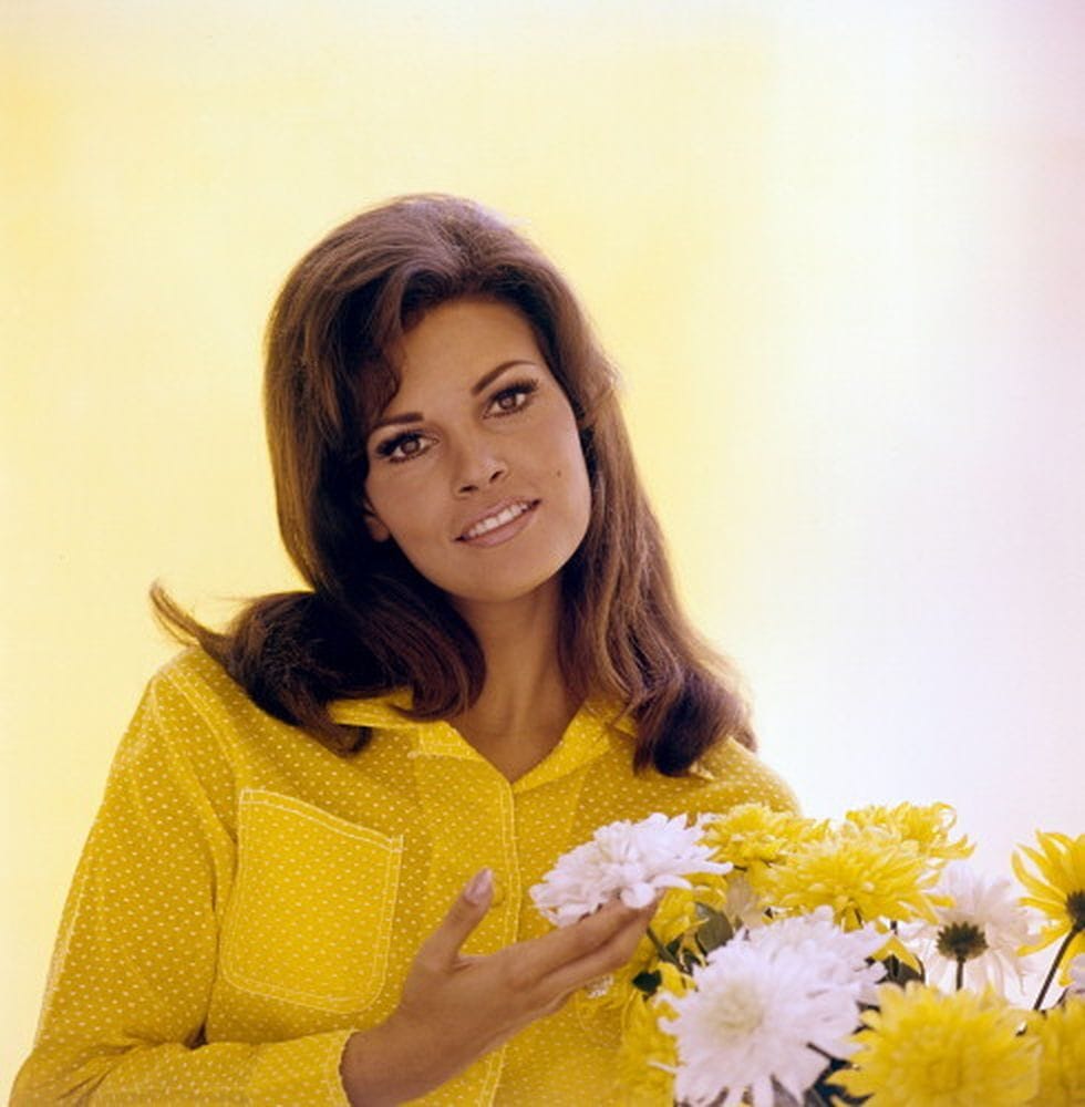 Image of Raquel Welch