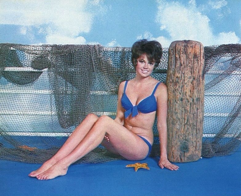 Picture Of Jo Ann Pflug