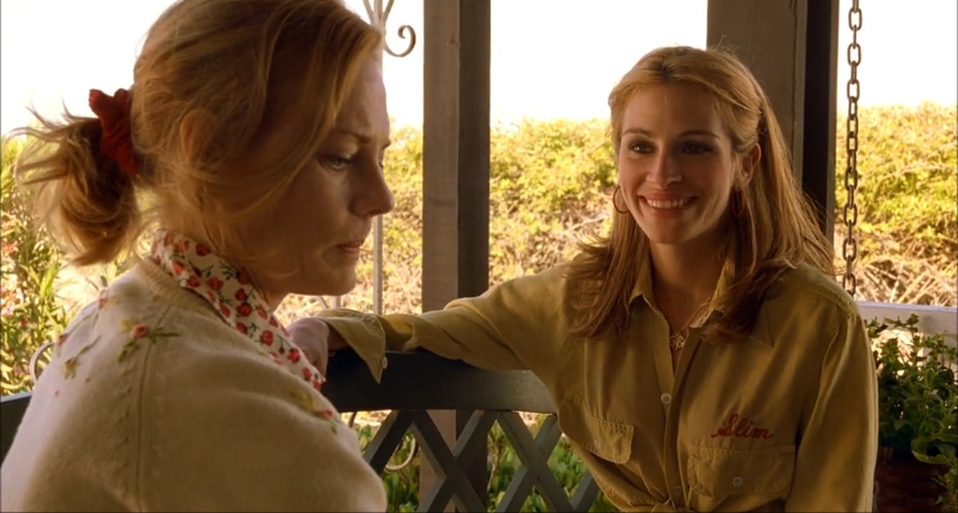 Picture of Erin Brockovich (1999)