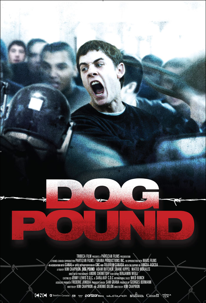 Mesmerizing Dog Pound Pomona Capture Concept Mesmerizing Dog Pound Pomona Capture Concept