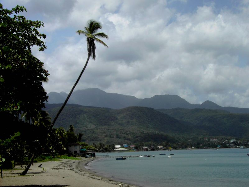 Dominica Dominica