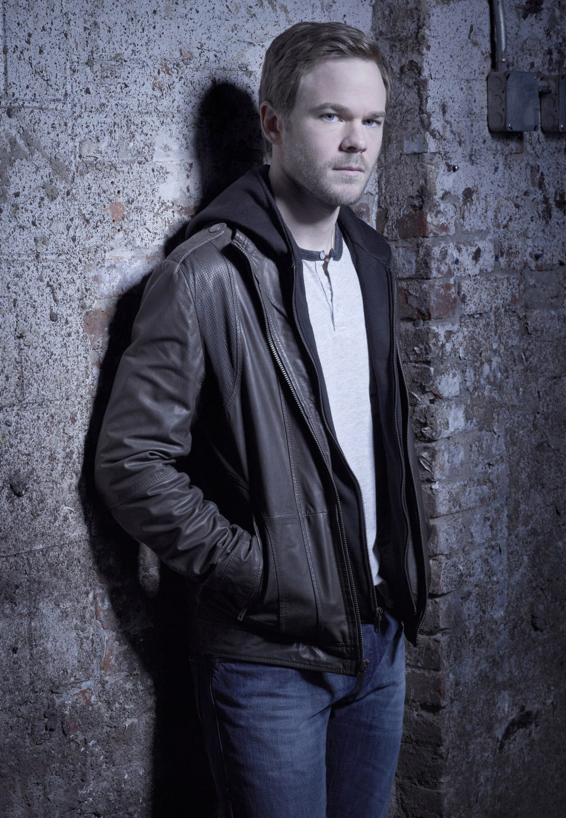 Next photo of Shawn Ashmore