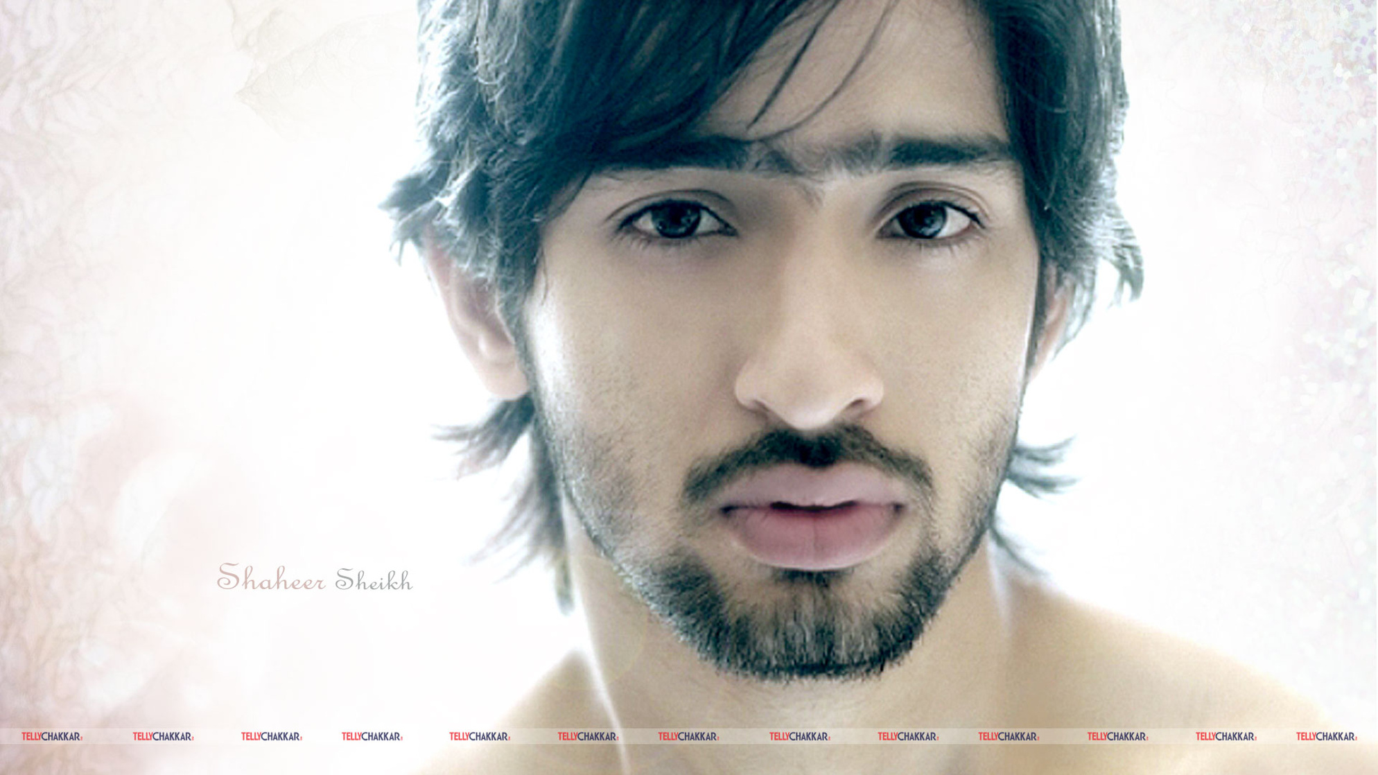 Shaheer Sheikh